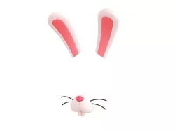 Rabbit Face 3D model