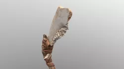 Real Primitive Axe Bone Yaw-Wood Low-poly 3D model