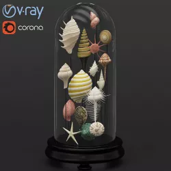 Seashell Decorative 3D model