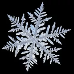 snow flake  3D model