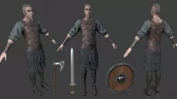 VIKING 3D model