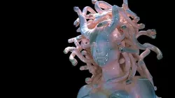 3d model and render corona medusa 3D model