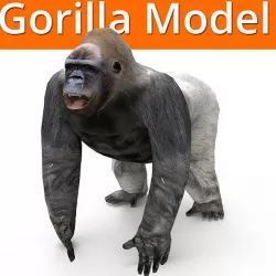 3D Model Gorilla game ready  Low-poly 3D model