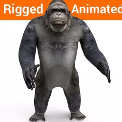 3D model gorilla Rigged and Animation Low-poly 3D model