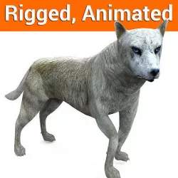 3d White Wolf rigged and animated  Low-poly 3D model