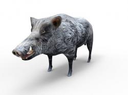 3D Wild Boar Rigged 3D Models Low-poly 3D model