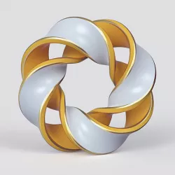 abstract torus 3D model