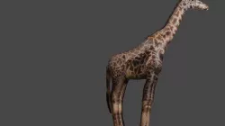 ANIMAL GIRAFFE Low-poly 3D model