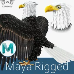Bald Eagle Low-poly 3D model