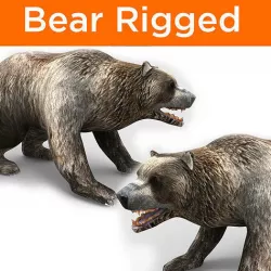 Bear Rigged 3D Models game ready  Low-poly 3D model