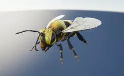 Bee 3D model 3D model