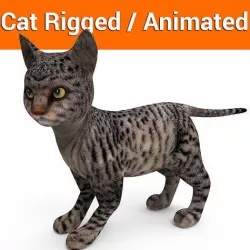 Black 3d Cat rigged and animated  Low-poly 3D model