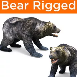Black Bear Rigged 3D Models game Low-poly 3D model