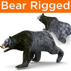 Black Bear Rigged 3D Models Low-poly 3D model
