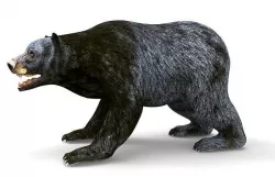 Black Bear Rigged and animated 3D Model Low-poly 3D model