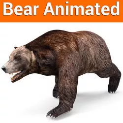 Brown Bear Rigged and animated 3D Model Low-poly 3D model