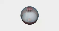BULK Fog Fire and Poison Grenade 3D model