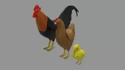 Cartoon Chicken Collection Pack Low-poly 3D model