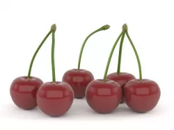 Cherry Fruit 3D model