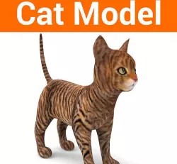 cute Cat model 3D pet Low-poly 3D model