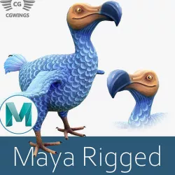 Dodo bird Low-poly 3D model