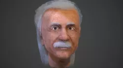 Einstein Head Low-poly 3D model
