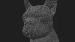 FBUL-018 Sits in place 3D model