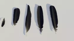 feathers - photoscanned Low-poly 3D model