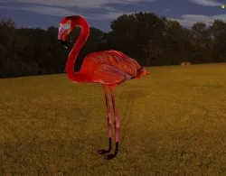 Flamingo  3D model