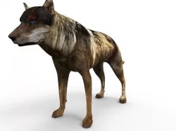 Fox rigged 3D Models low poly model Low-poly 3D model