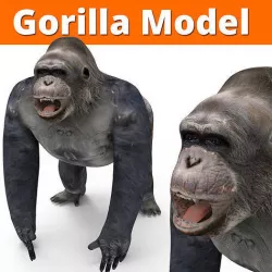 Gorilla  3D Models game ready low poly Low-poly 3D model