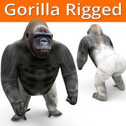  gorilla Rigged 3D Models game ready Low-poly 3D model