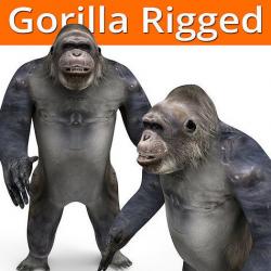 gorilla Rigged 3D Models game ready Low-poly 3D model