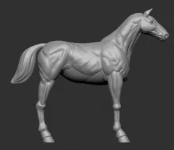 Horse Base Blockout Poligon 3D model