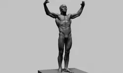 Human Anatomy v2 3D model