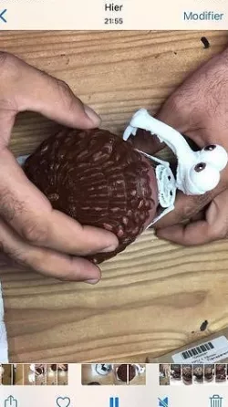 Ice age sceleton with oak  3D model