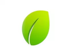 Leaf Symbol 3D model