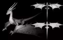 Lowpoly Animated Storm Dragon Low-poly 3D model
