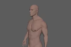 Male-3d model 3D model