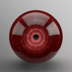 Momoshiki Rinnegan 3D model