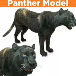 Panther 3D Models game ready low poly model Low-poly 3D model