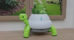 Robot Turtle Planter Low-poly 3D model
