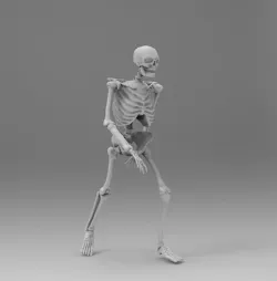 Skeleton  3D model