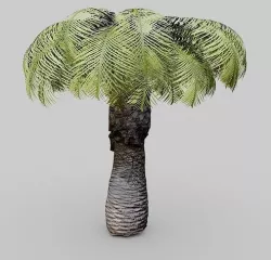 Small Palm Tree 3D model