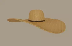 Straw Sun Hat Low-poly 3D model