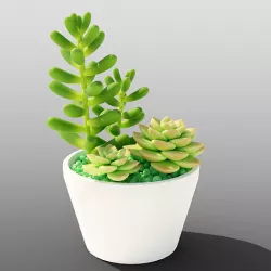 Succulent pot 3D model