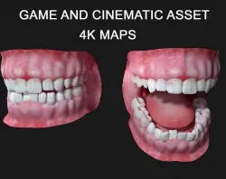 Teeth Asset  3D model