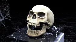 Vampire Skull 3D model