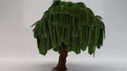 Willow Tree  Low-poly 3D model