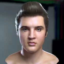3d model Elvis Presley head Low-poly 3D model